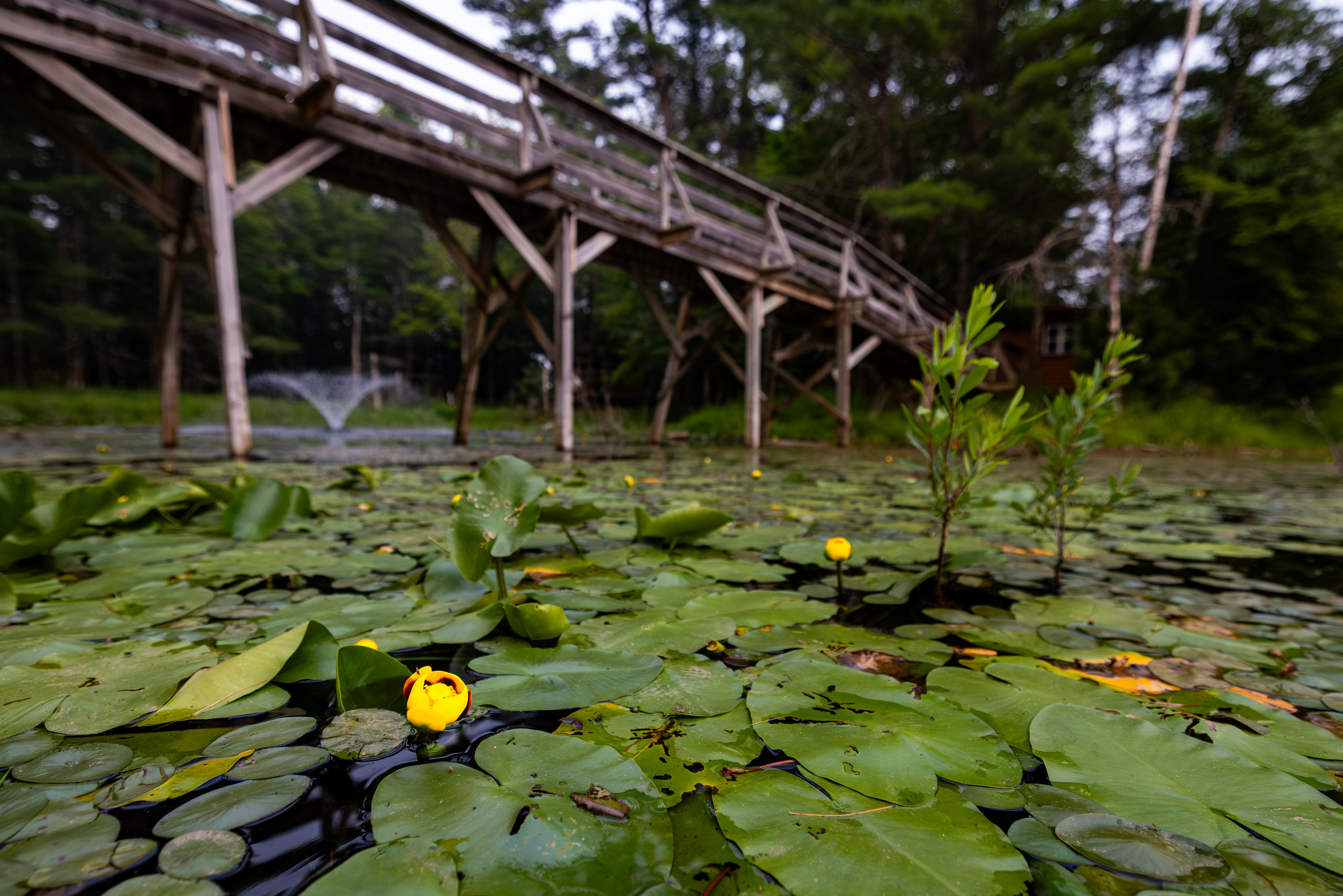 Camp Interlaken JCC, Eagle River, Wisconsin